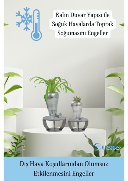 Ahşap Ayaklı Beton Saksı Büyük Boy Set 2 Adet Havuç Model