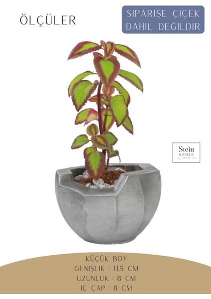 Ayaklı Saksı Ahşap Dekoratif Kaktüs Saksısı 1 Adet Gümüş Renk Eskitme Uygulamalı Önü Açık Model