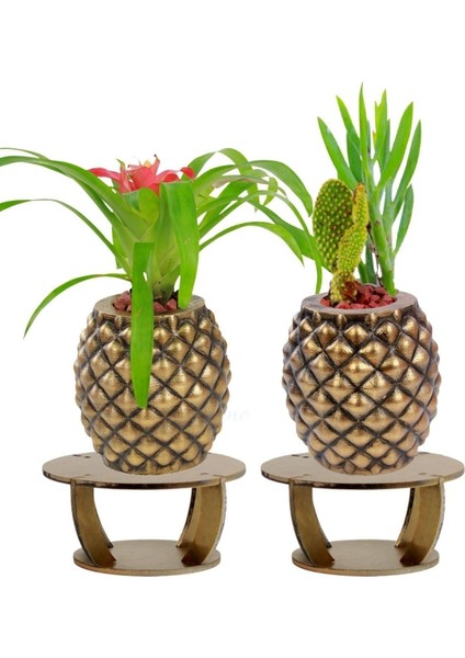 Ahşap Ayaklı Beton Saksı Büyük Boy Set 2 Adet Ananas Model