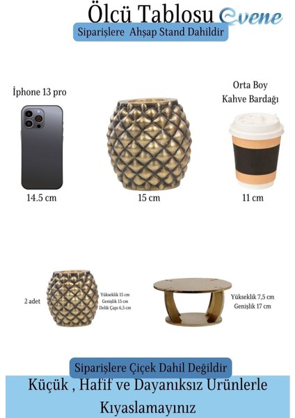 Ahşap Ayaklı Beton Saksı Büyük Boy Set 2 Adet Ananas Model