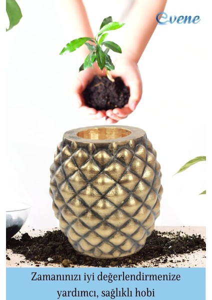 Ahşap Ayaklı Beton Saksı Büyük Boy Set 2 Adet Ananas Model