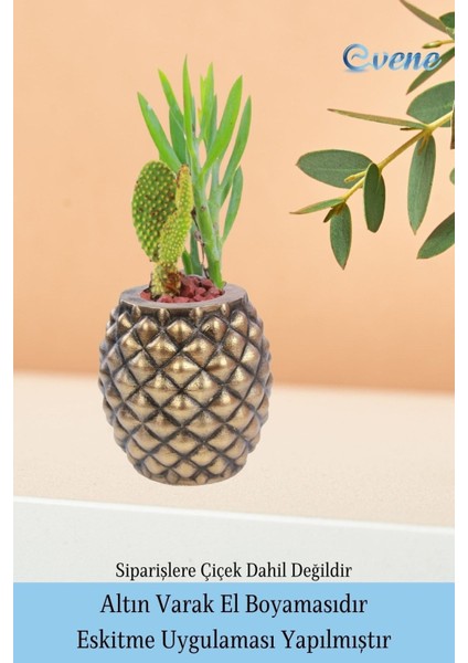 Ahşap Ayaklı Beton Saksı Büyük Boy Set 2 Adet Ananas Model