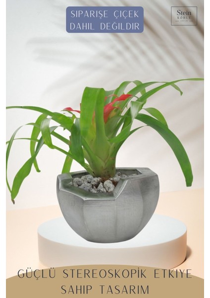 Ayaklı Saksı Ahşap Dekoratif Kaktüs Saksısı 1 Adet Gümüş Renk Eskitme Uygulamalı Önü Açık Model