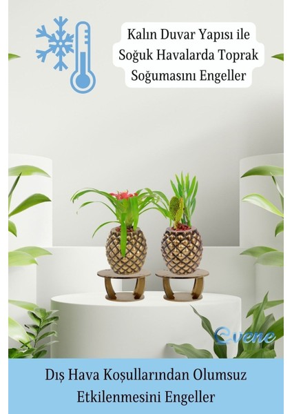 Ahşap Ayaklı Beton Saksı Büyük Boy Set 2 Adet Ananas Model