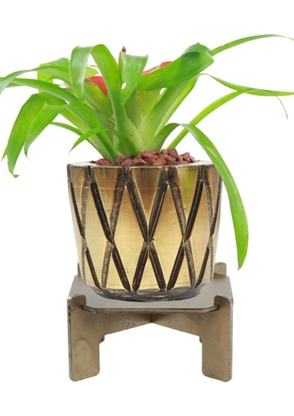 Ayaklı Saksı Ahşap Büyük Boy 1 Adet Altın Renk Eskitme Uygulamalı Baklava Model