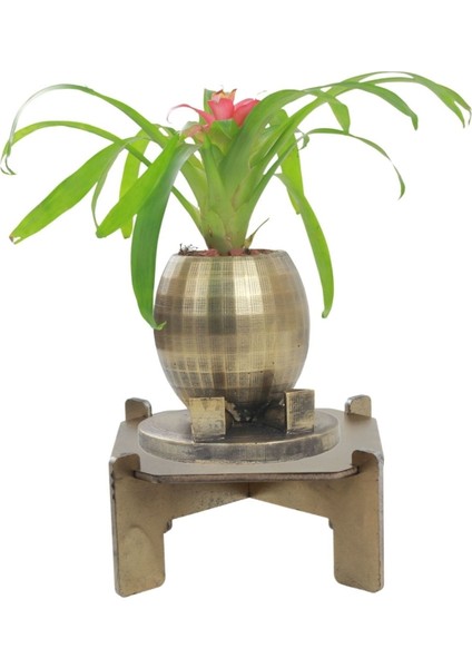 Ayaklı Saksı Ahşap Büyük Boy 1 Adet Altın Renk Eskitme Uygulamalı Ayaklı Yuvarlak Model