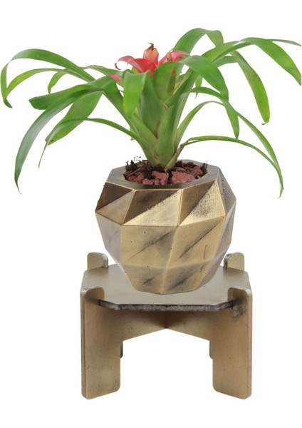 Ayaklı Saksı Ahşap Büyük Boy 1 Adet Altın Renk Eskitme Uygulamalı Dönen Poly Model