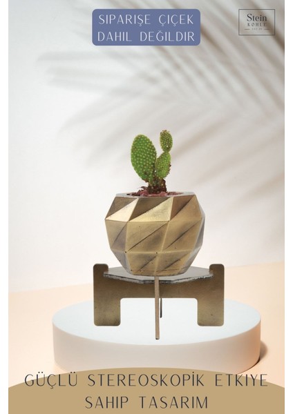 Ayaklı Saksı Ahşap Büyük Boy 1 Adet Altın Renk Eskitme Uygulamalı Dönen Poly Model