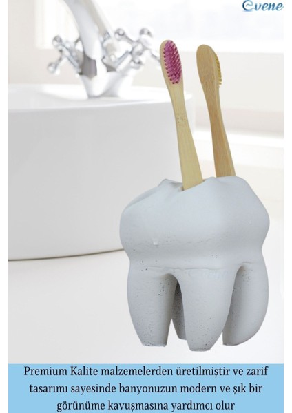 Diş Fırçalığı Tezgah Üstü Beyaz Renk Diş Fırçası Standı Diş Şekilli Model