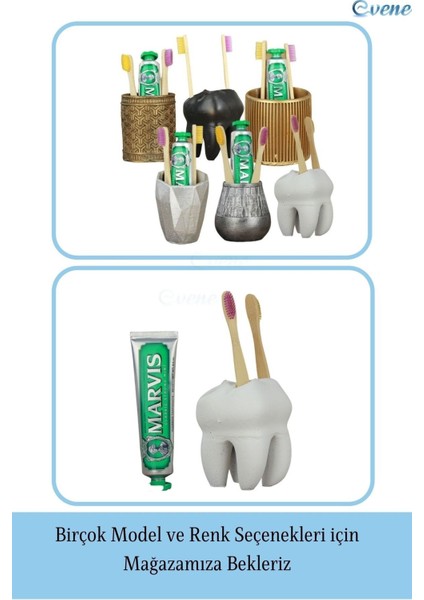 Diş Fırçalığı Tezgah Üstü Beyaz Renk Diş Fırçası Standı Diş Şekilli Model