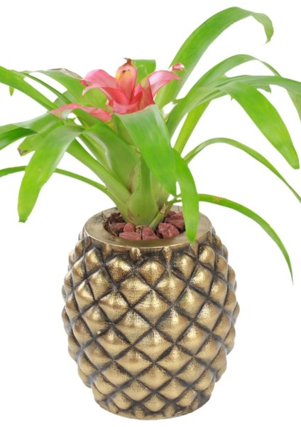 Çiçek Saksısı Büyük Boy 1 Adet Altın Renk Eskitme Uygulamalı Ananas Model