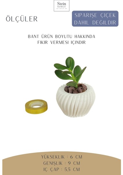 Dekoratif Saksı Minik Kaktüs Saksısı Derin Çizgili Spiral Model