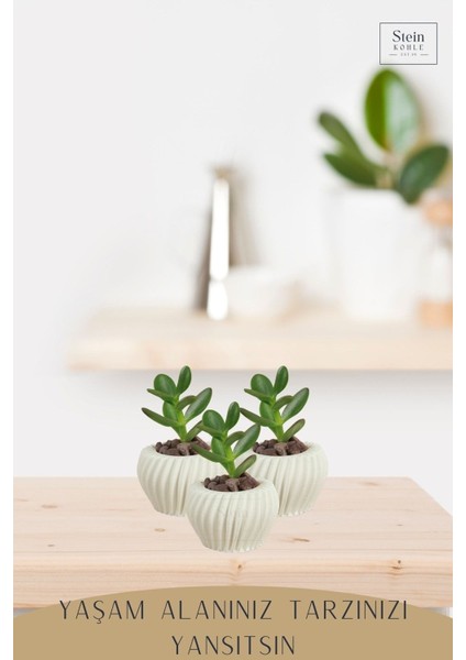 Dekoratif Saksı Minik Kaktüs Saksısı Derin Çizgili Spiral Model