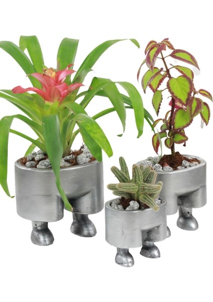 Saksı Çiçek Kaktüs Saksısı Lüx 13 cm Pantolon Desenli 3'lü Set Çiçeklik