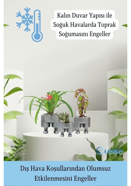 Saksı Çiçek Kaktüs Saksısı Lüx 13 cm Pantolon Desenli 3'lü Set Çiçeklik