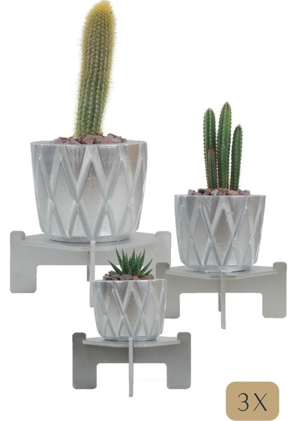 Çiçek Saksısı Büyük Boy 3 Adet Gümüş Renk Uygulamalı Baklava Model