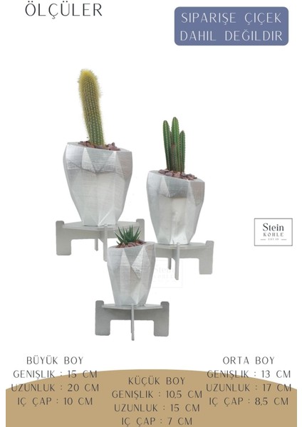 Ayaklı Saksı Ahşap Büyük Boy 3 Adet Gümüş Renk Uygulamalı Uzun Poly Model