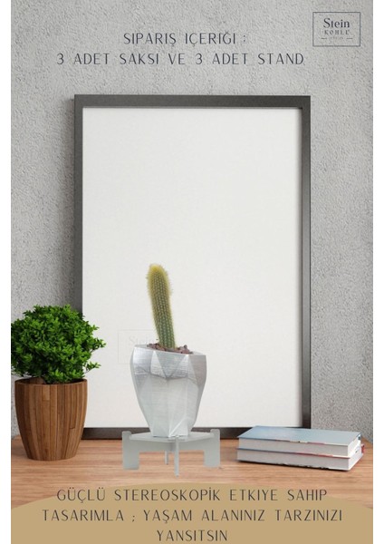 Ayaklı Saksı Ahşap Büyük Boy 3 Adet Gümüş Renk Uygulamalı Uzun Poly Model