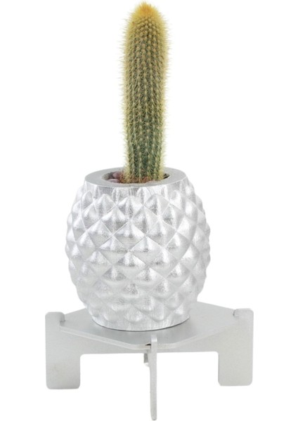 Ayaklı Saksı Ahşap Büyük Boy 1 Adet Gümüş Renk Uygulamalı Ananas Model