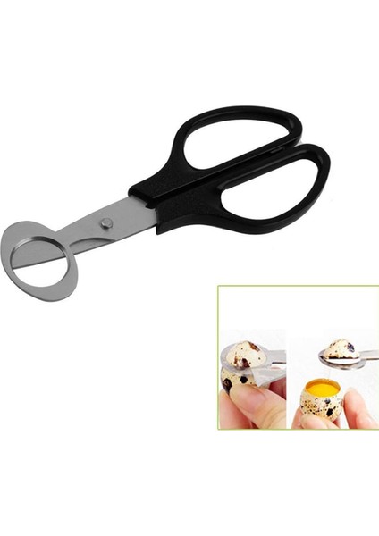 10PCS Yumurta Makas Bıldırcın Yumurta Kabuğu Kesiciler Ayırıcı Küçük Bıldırcın Yumurta Kraker Bıldırcın Makas Açıcı Puro Kesici (Yurt Dışından) modelleri