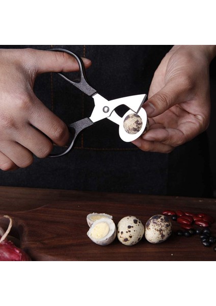 10PCS Yumurta Makas Bıldırcın Yumurta Kabuğu Kesiciler Ayırıcı Küçük Bıldırcın Yumurta Kraker Bıldırcın Makas Açıcı Puro Kesici (Yurt Dışından) fırsatları