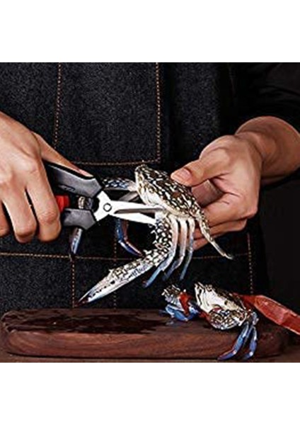 Yeme Için Yengeç Araçları, Istakoz ve Yengeç Aracı Seti, Istakoz Krakerleri Kabuklu Balysileri Deniz Ürünleri Aracı, Fındık Krakeri ve Deniz Ürünleri Makasları (Yurt Dışından) fırsatları