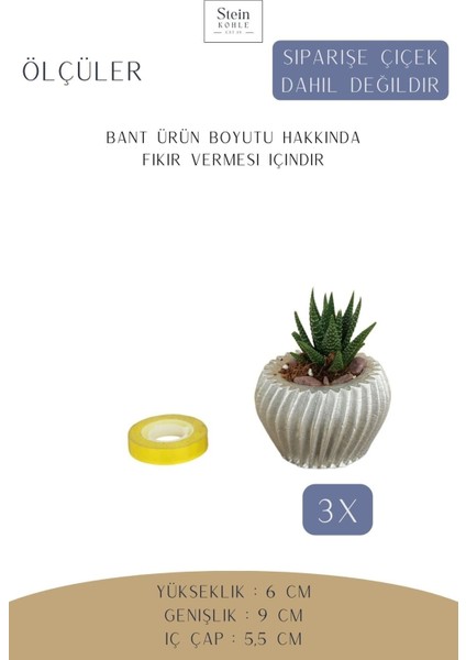 Dekoratif Saksı Minik Kaktüs Saksısı Derin Çizgili Spiral