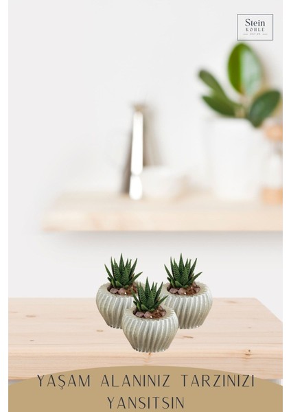 Dekoratif Saksı Minik Kaktüs Saksısı Derin Çizgili Spiral
