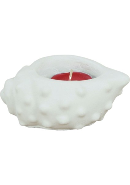 Mumluk Şamdan Tealight Mum Uyumlu Deniz Kabuğu Model