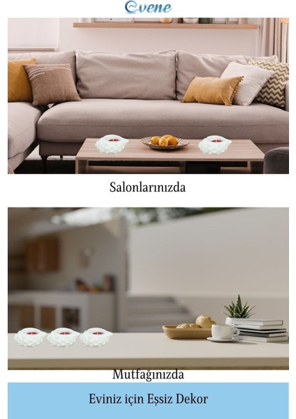 Mumluk Şamdan Tealight Mum Uyumlu Deniz Kabuğu Model