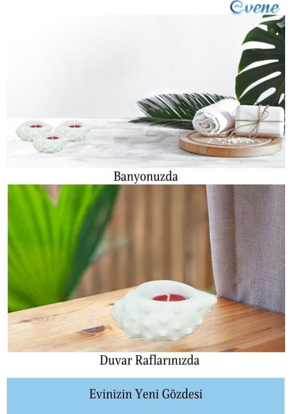 Mumluk Şamdan Tealight Mum Uyumlu Deniz Kabuğu Model