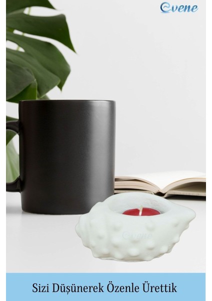 Mumluk Şamdan Tealight Mum Uyumlu Deniz Kabuğu Model