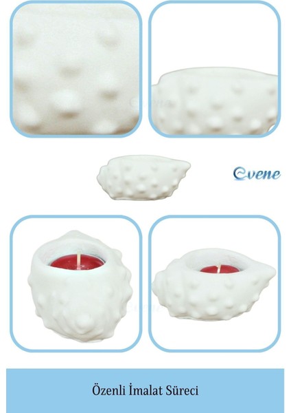 Mumluk Şamdan Tealight Mum Uyumlu Deniz Kabuğu Model
