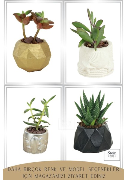 Dekoratif Saksı Minik Kaktüs Saksısı Kaktüs Desenli Model