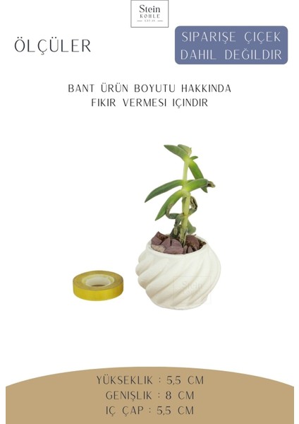 Dekoratif Saksı Minik Kaktüs Saksısı Kalın Çizgili Spiral Model