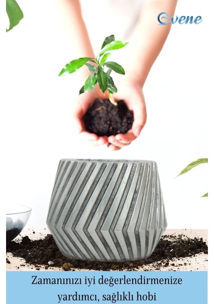 Ahşap Ayaklı Beton Saksı Büyük Boy Set 2 Adet Dişli Model