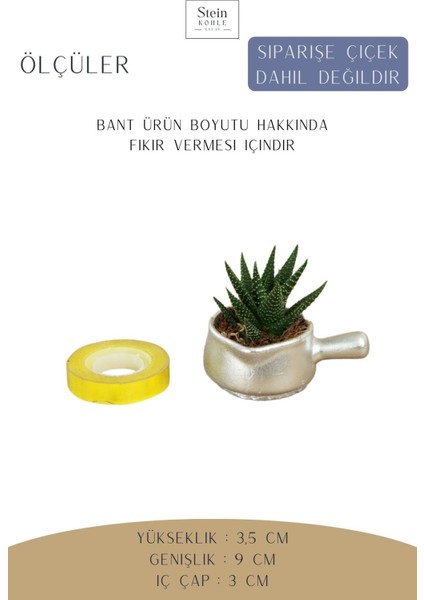 Dekoratif Saksı Minik Kaktüs Saksısı Mini Tava Model