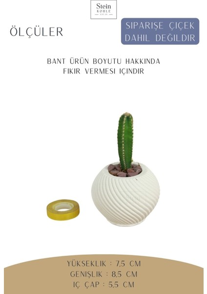 Dekoratif Saksı Minik Kaktüs Saksısı Ince Çizgi Spiral Model