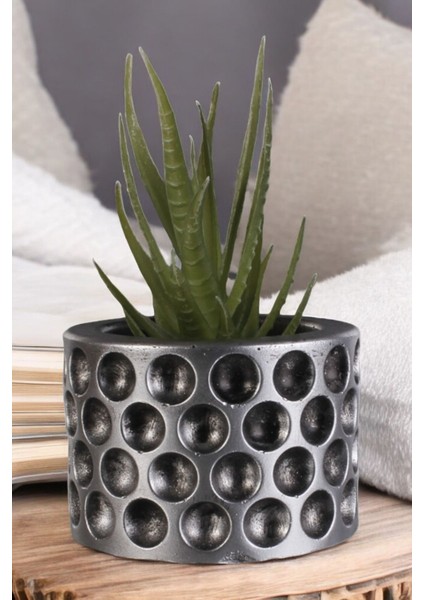 Dekoratif Saksı Minik Kaktüs Saksısı Puantiye Model