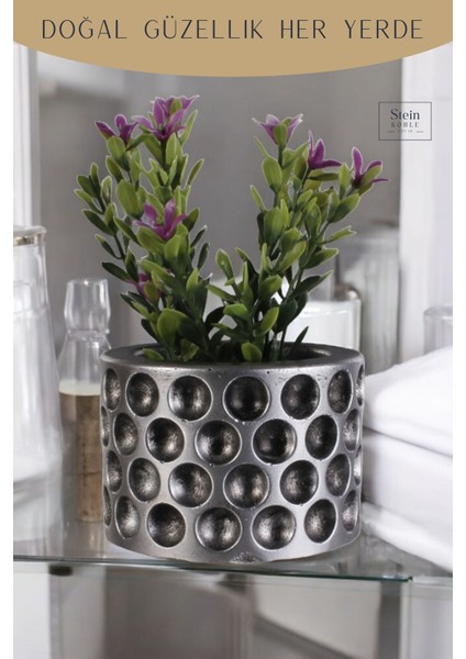 Dekoratif Saksı Minik Kaktüs Saksısı Puantiye Model