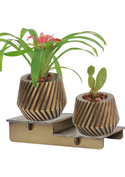 Ayaklı Saksı Ahşap Büyük Boy 2 Adet Altın Renk Eskitme Uygulamalı Dişli Model