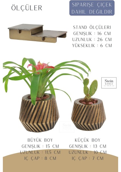 Ayaklı Saksı Ahşap Büyük Boy 2 Adet Altın Renk Eskitme Uygulamalı Dişli Model