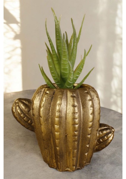 Dekoratif Saksı Minik Kaktüs Saksısı Kaktüs Model