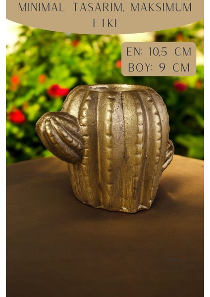 Dekoratif Saksı Minik Kaktüs Saksısı Kaktüs Model