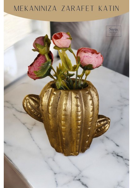 Dekoratif Saksı Minik Kaktüs Saksısı Kaktüs Model