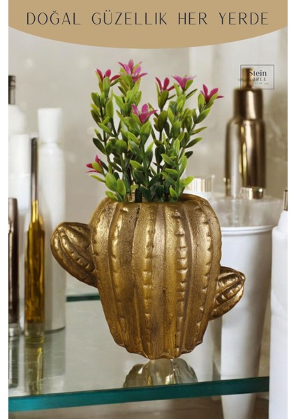 Dekoratif Saksı Minik Kaktüs Saksısı Kaktüs Model