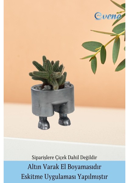 Ahşap Ayaklı Beton Saksı Büyük Boy Set 3 Adet Pantolon Model