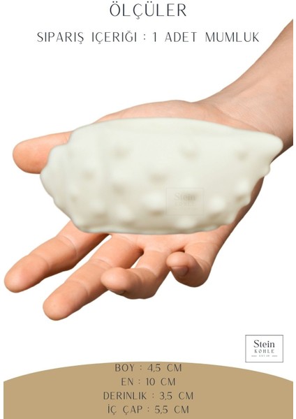 Şamdan Dekoratif Mumluk Şamdan Tealight Mum Uyumlu Deniz Kabuğu Model