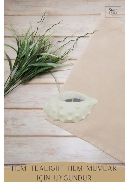 Şamdan Dekoratif Mumluk Şamdan Tealight Mum Uyumlu Deniz Kabuğu Model