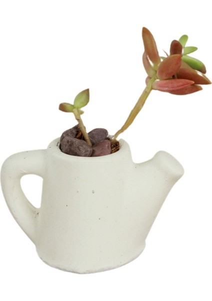 Dekoratif Saksı Minik Kaktüs Saksısı Mini Çaydanlık Model